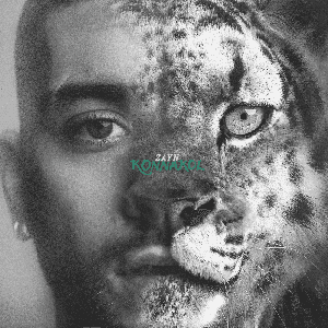 Die For Me by ZAYN