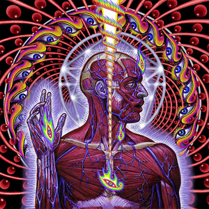 Lateralus by Tool