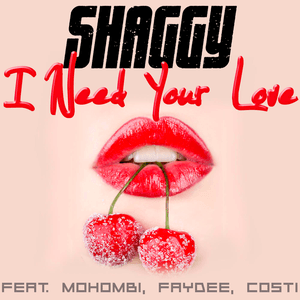 I Need Your Love by Shaggy