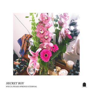 Secret Boy by Wicca Phase Springs Eternal
