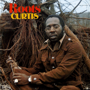 Roots by Curtis Mayfield