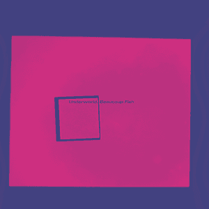 Beaucoup Fish (Remastered / Super Deluxe) by Underworld