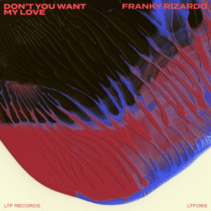 Don't You Want My Love by Franky Rizardo