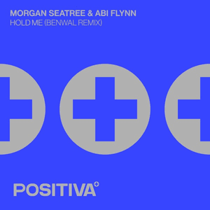 Hold Me (Benwal Remix) by Morgan Seatree