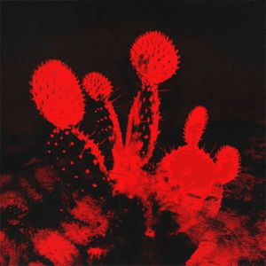 Melt'd (deluxe) by Beach Weather