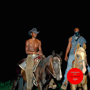 "$uccessor (ded004)" LP by Dedekind Cut