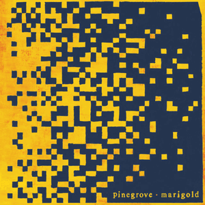 Marigold by Pinegrove