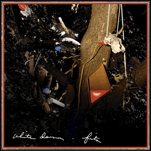 Fits (Expanded Version) by White Denim