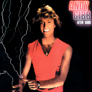 After Dark by Andy Gibb