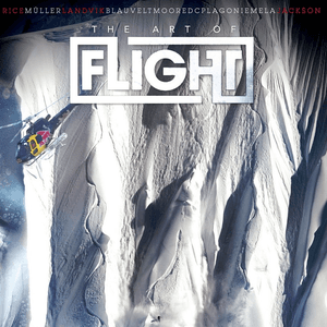 The Art of Flight by Hum