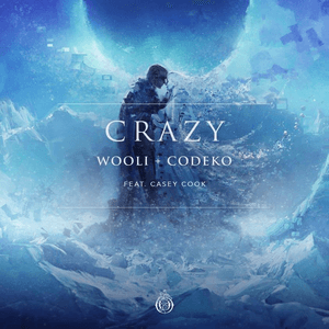 Crazy (feat. Casey Cook) by Wooli