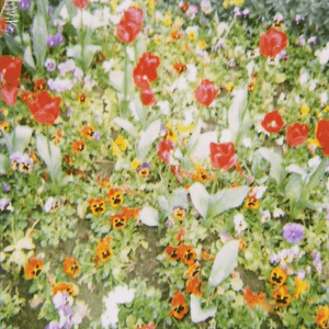 Drifting EP by Mutual Benefit