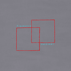 Cardinal by Pinegrove