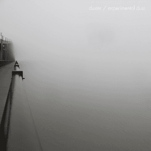 Experimental Dust by Duster