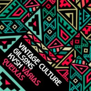 Várias Queixas (Radio Edit) by Vintage Culture