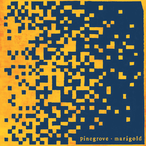 Marigold (Expanded Edition) by Pinegrove