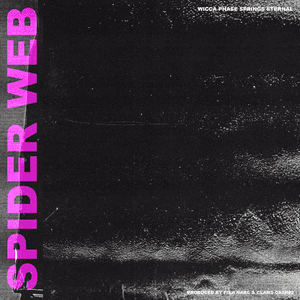 Spider Web by Wicca Phase Springs Eternal