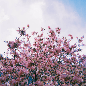 good days by keshi