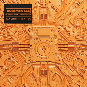 Dancing is Healing by Rudimental