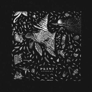 Sunhead by Plini
