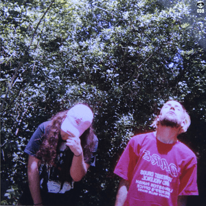 High Tide In The Snake's Nest by $uicideboy$
