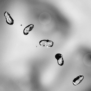 Up by Peter Gabriel