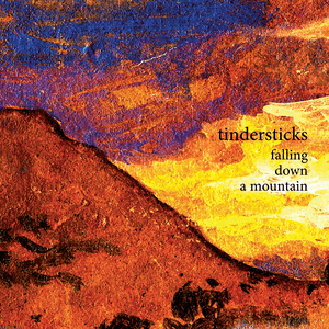 Falling Down A Mountain by Tindersticks