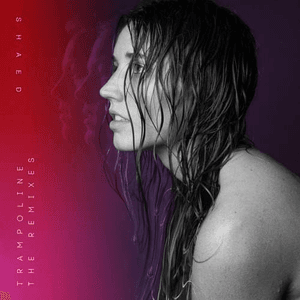 Trampoline (BKAYE Remix) by SHAED