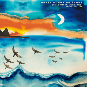 Never Gonna Be Alone (Alternate Versions) by Jacob Collier