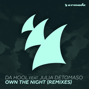 Own The Night (Remixes) by Da Hool
