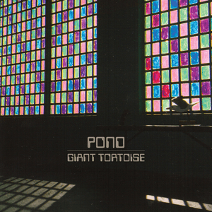 Giant Tortoise by Pond