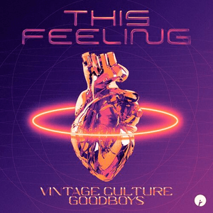 This Feeling by Vintage Culture