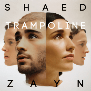 Trampoline (with ZAYN) by SHAED