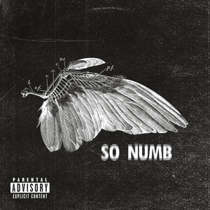 So Numb by TX2