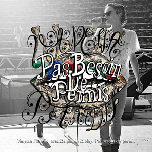 Pas Besoin De Permis by Vanessa Paradis