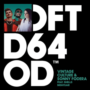Nightjar (feat. SHELLS) by Vintage Culture
