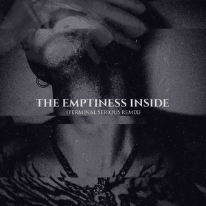 The Emptiness Inside (Terminal Serious Remix) by The Spoiled