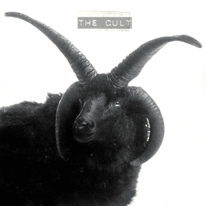 The Cult by The Cult