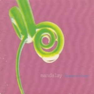 Flowers Bloom by Mandalay