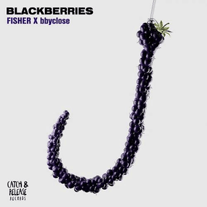 Blackberries by FISHER