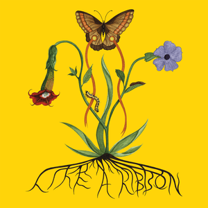 Like a Ribbon by John Glacier