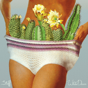 Stiff by White Denim