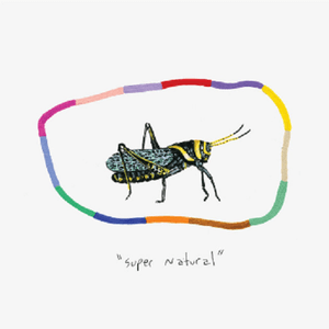 Super Natural by Turnover