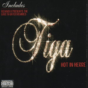 Hot in Herre by Tiga