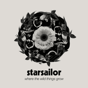 Where The Wild Things Grow by Starsailor