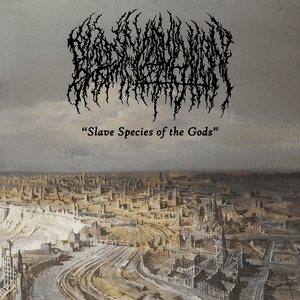 Slave Species of the Gods by Blood Incantation