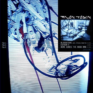 Bloodstone by Amon Tobin