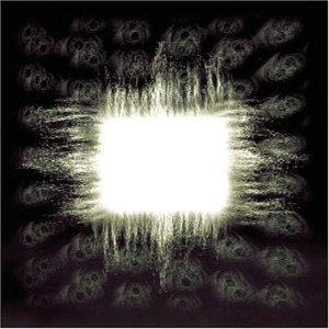 Aenema by Tool