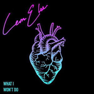 What I Won't Do by Leon Else