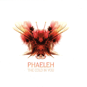 The Cold in You by Phaeleh